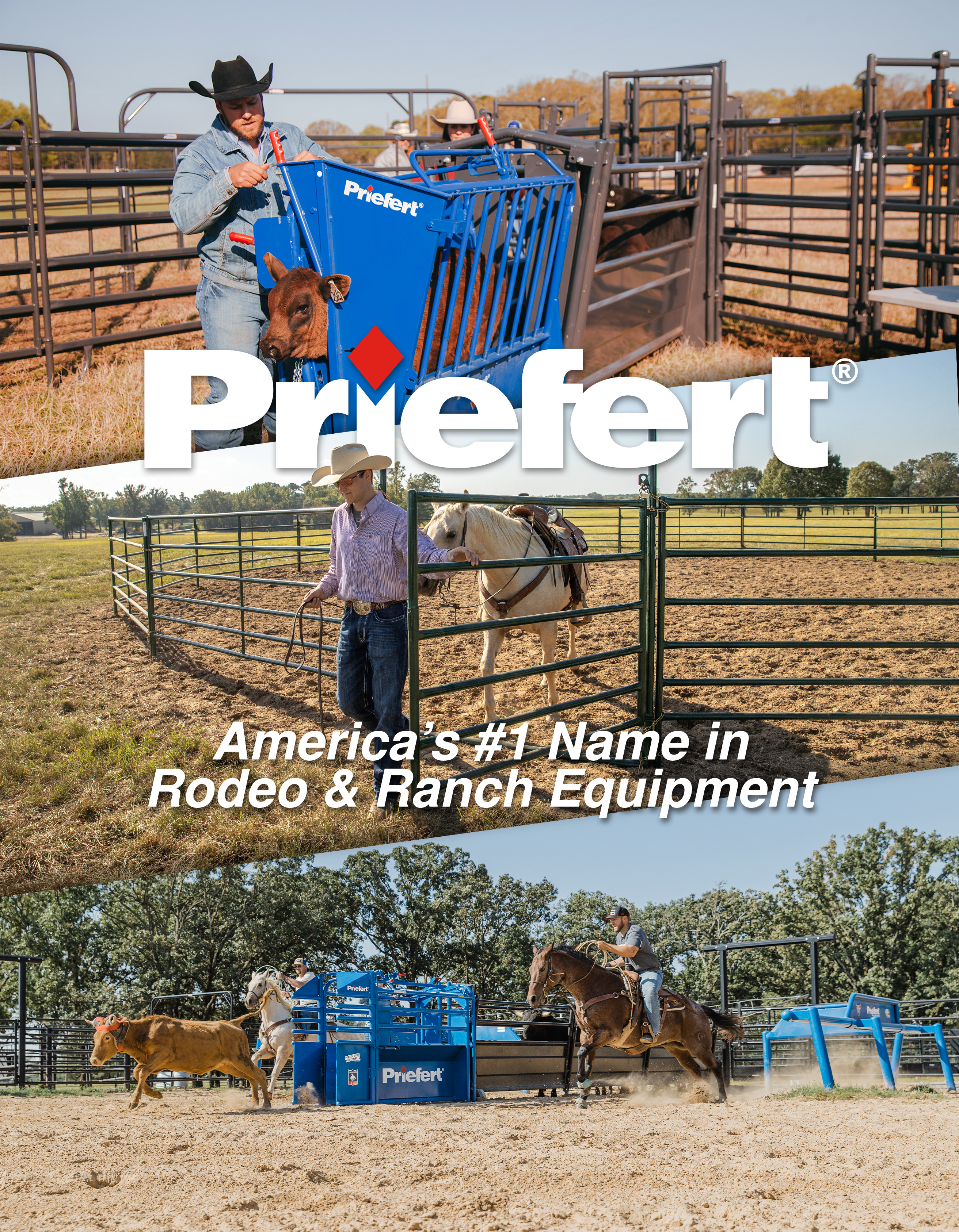 Generic Full Pg 2.jpg